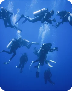 many divers in the ocean