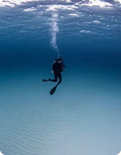 diving in the ocean