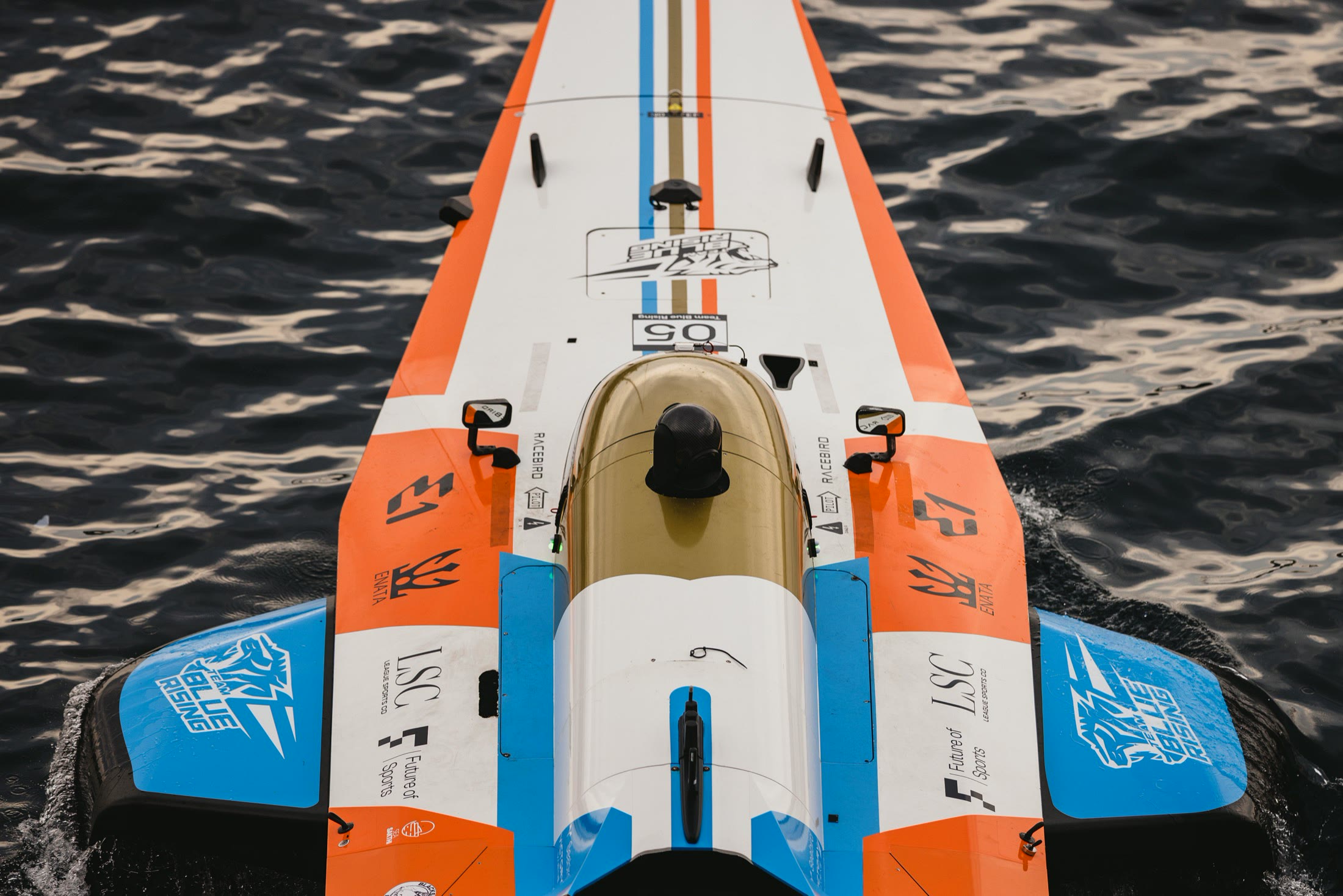 Team Blue Rising RaceBird detail