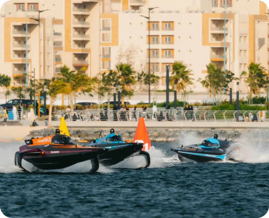 three-fast-racebird-in-water